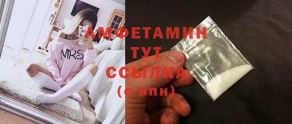 спайс Каменка