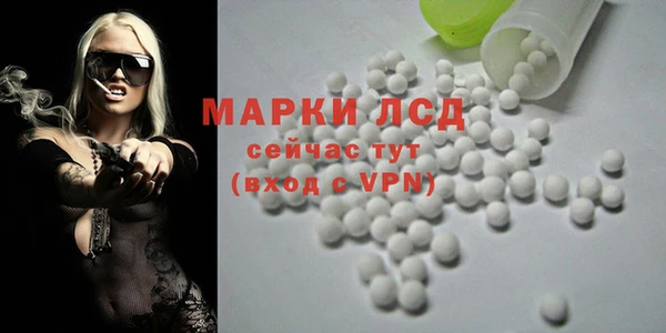 спайс Каменка