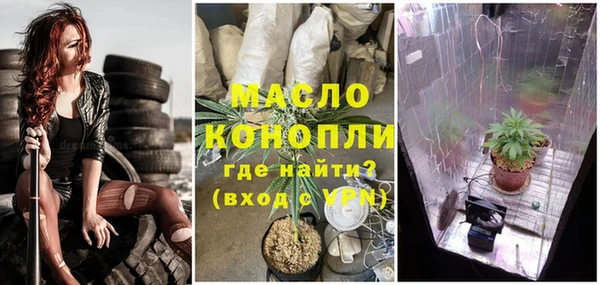 спайс Каменка
