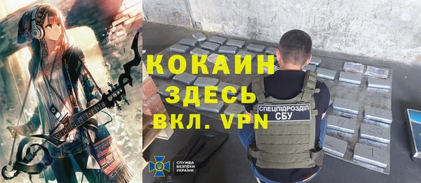 спайс Каменка