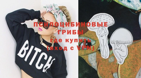 гидра Каменск-Шахтинский