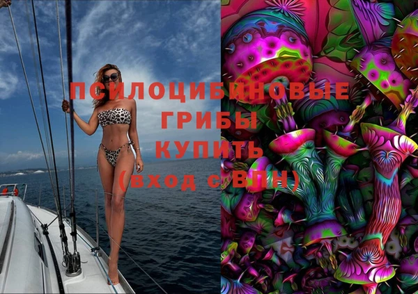 таблы Каменногорск