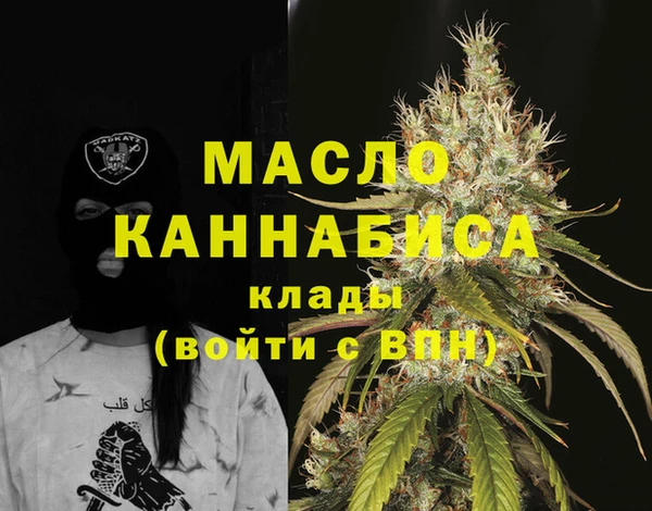 спайс Каменка