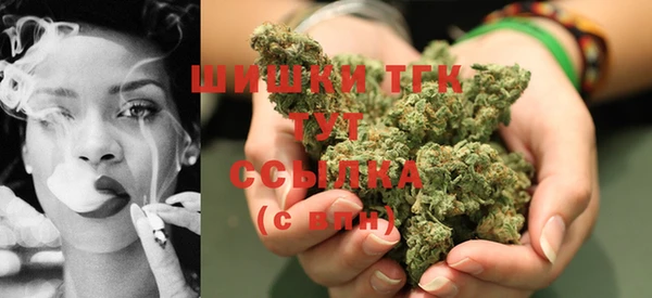 спайс Каменка